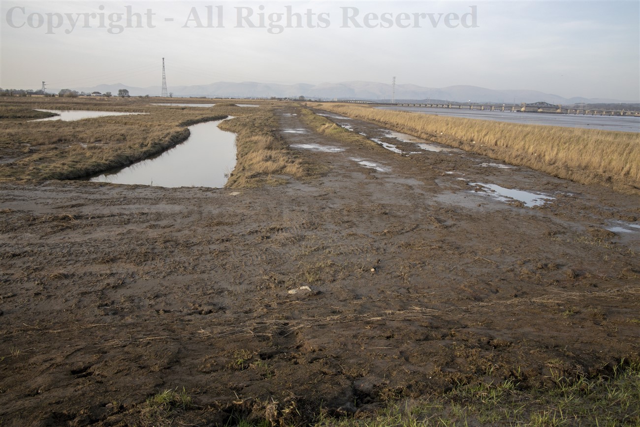 Mud flats and sea wall, Skinflats managed realignment project