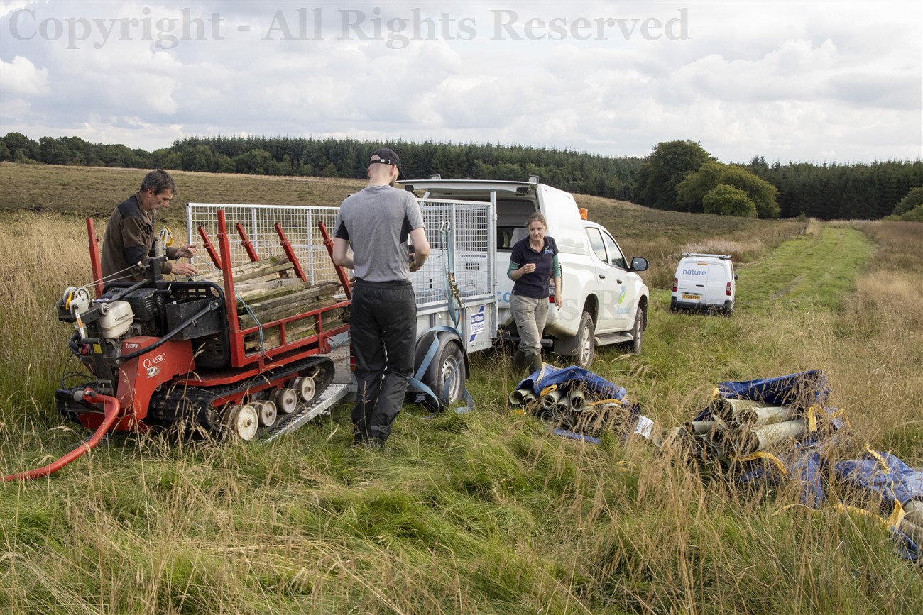  Tying down tree stakes on the iron horse, Blawhorn Moss NNR