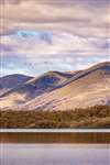 Skein of Pink-footed Geese against the Luss Hills