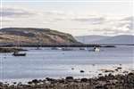 Millport Coastal Flood Protection Scheme, Great Cumbrae