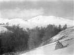 Golden Eagle habitat with snowy mountains