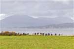 SOC Clyde birdwatching outing to Ardmore Point