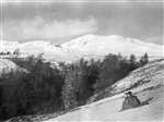 Golden Eagle habitat with snowy mountains