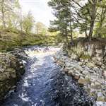 Low Force waterfall and the Whin Sill, Teesdale