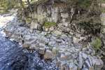 Low Force waterfall and the Whin Sill, Teesdale