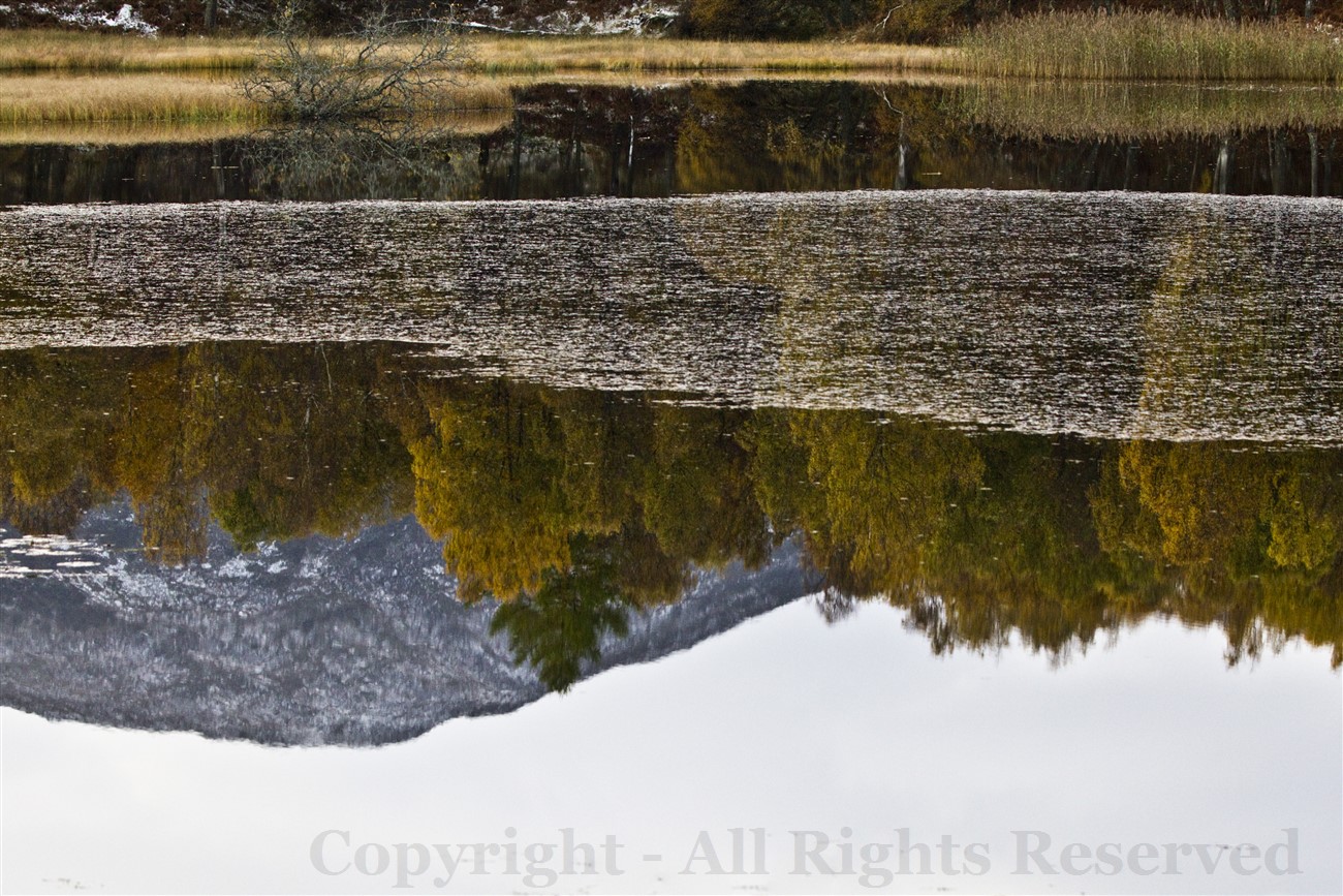 Reflections in Lochan Mor near Coylumbridge