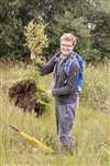 Volunteer removing invasive Silver birch, Lenzie Moss