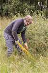 Volunteer removing invasive Silver birch, Lenzie Moss
