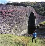 Clachan Bridge with Erinus alpinus 