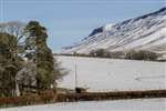 Stronend and the Fintry Hills in the snow