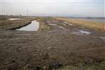 Mud flats and sea wall, Skinflats managed realignment project