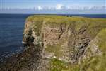Brough of Deerness, Orkney mainland