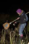 People lamping for newts, Robroyston Park local nature reserve