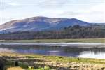 River Nith and Criffel, Dumfriesshire