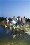 GNHS members pond dipping, Robroyston Park local nature reserve