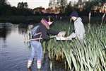 Pond dipping at night, Robroyston Park local nature reserve