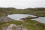 Tidal pond on Pabaigh Mòr on a Seatrek wildlife cruise on Loch Roag