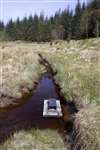 Mink trap at Water Vole release site, Loch Ard Forest