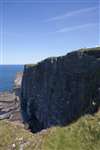 Sheer 100 metre cliffs on Handa