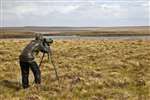 Surveying birds at Forsinard Flows
