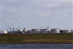 Curlew flock and Grangemouth oil tanks