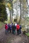 A Plantlife guided walk at the Hermitage, Dunkeld