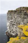 The cliffs of Noup Head, Westray