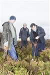 Digging through the heather, Wester Moss