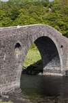 Clachan Bridge - Bridge over the Atlantic, Seil with Erinus alpinus