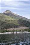 Inverie, Loch Nevis and Sgurr Coire Choinnichean